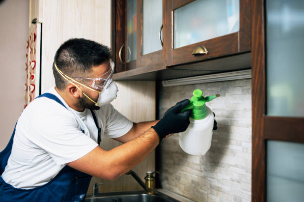 Best Pest Prevention Services  in West Hills, PA