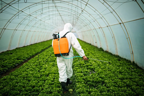 Best Mosquito Control Services  in West Hills, PA
