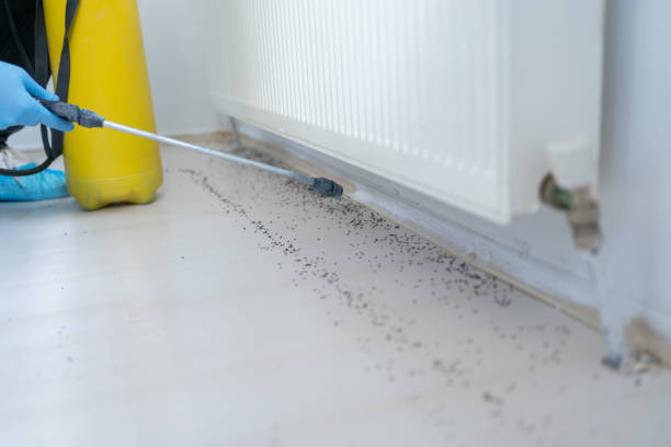  West Hills, PA Pest Control Pros