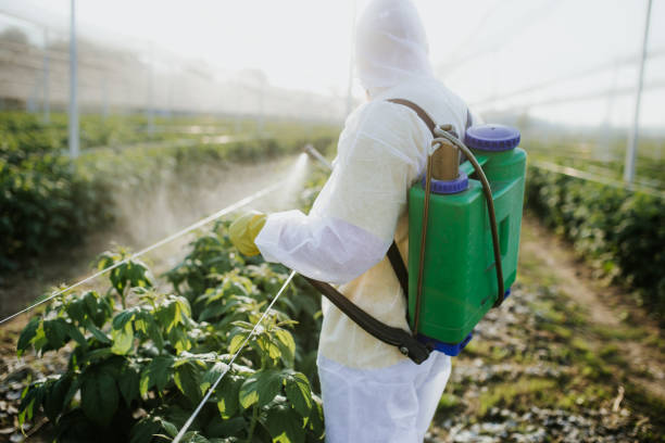 Best Bed Bug Extermination  in West Hills, PA